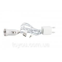Зарядний пристрій PowerPlant USB - Lightning 12V+220V+каб, 1A Зарядний пристрій PowerPlant USB - Lightning 12V+220V+каб, 1A