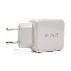 Мережевий зарядний пристрій PowerPlant W-250 USB QC 3.0: 220V, 3A