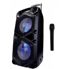 Автономная акустическая система с Караоке GT-6068 + радиомикрофон