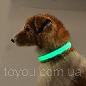 Нашийник LED світиться вузький для невеликих собак і кішок 0.5 м різні кольори