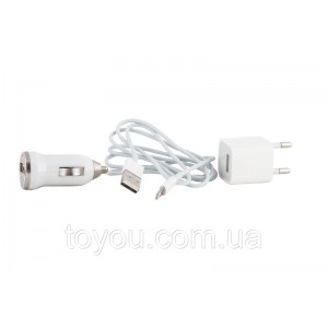 Зарядний пристрій PowerPlant USB - Lightning 12V+220V+каб, 1A